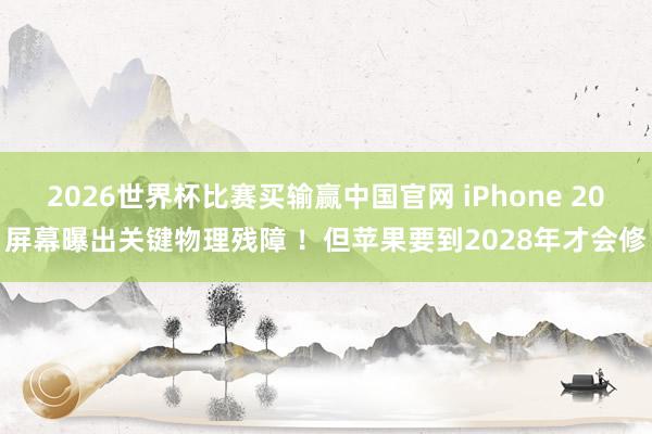 2026世界杯比赛买输赢中国官网 iPhone 20屏幕曝出关键物理残障 ！但苹果要到2028年才会修