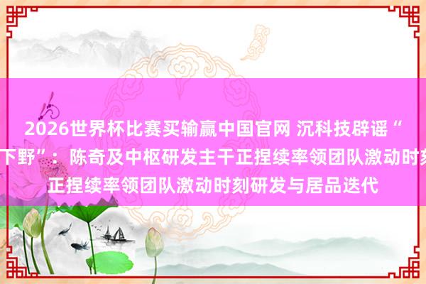 2026世界杯比赛买输赢中国官网 沉科技辟谣“沉智驾 CEO 陈奇下野”：陈奇及中枢研发主干正捏续率领团队激动时刻研发与居品迭代