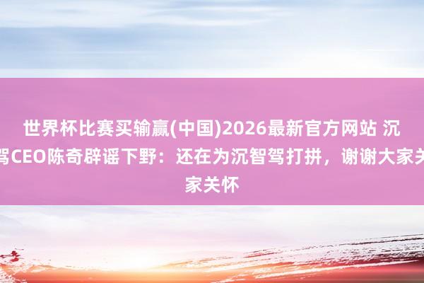 世界杯比赛买输赢(中国)2026最新官方网站 沉智驾CEO陈奇辟谣下野：还在为沉智驾打拼，谢谢大家关怀
