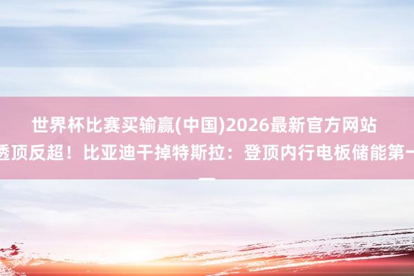 世界杯比赛买输赢(中国)2026最新官方网站 透顶反超！比亚迪干掉特斯拉：登顶内行电板储能第一