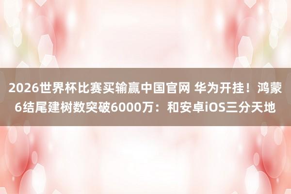 2026世界杯比赛买输赢中国官网 华为开挂！鸿蒙6结尾建树数突破6000万：和安卓iOS三分天地
