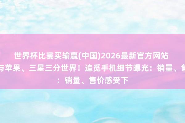 世界杯比赛买输赢(中国)2026最新官方网站 俞浩称要与苹果、三星三分世界！追觅手机细节曝光：销量、售价感受下