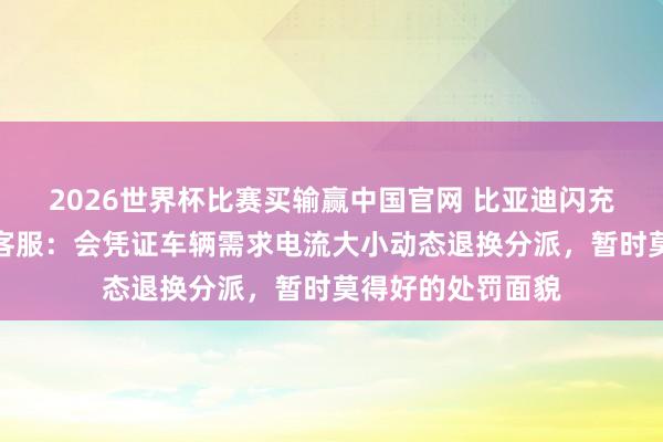 2026世界杯比赛买输赢中国官网 比亚迪闪充「抢电」？国网客服：会凭证车辆需求电流大小动态退换分派，暂时莫得好的处罚面貌