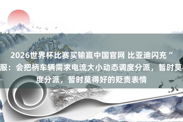 2026世界杯比赛买输赢中国官网 比亚迪闪充“抢电”?国网客服:会把柄车辆需求电流大小动态调度分派,暂时莫得好的贬责表情