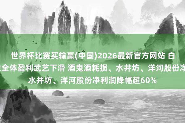 世界杯比赛买输赢(中国)2026最新官方网站 白酒年报| 白酒行业全体盈利武艺下滑 酒鬼酒耗损、水井坊、洋河股份净利润降幅超60%