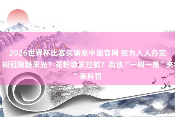 2026世界杯比赛买输赢中国官网 我为人人办实事｜树冠隐秘采光？花粉激发过敏？街谈“一树一策”来科罚