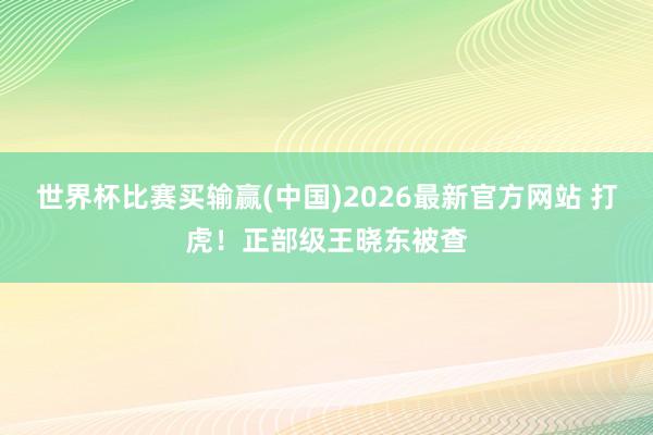 世界杯比赛买输赢(中国)2026最新官方网站 打虎！正部级王晓东被查