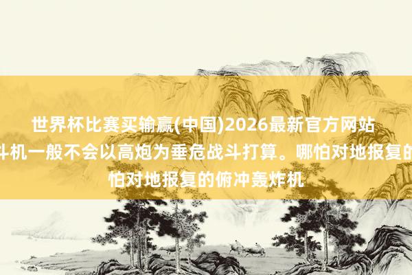 世界杯比赛买输赢(中国)2026最新官方网站 有分析，战斗机一般不会以高炮为垂危战斗打算。哪怕对地报复的俯冲轰炸机