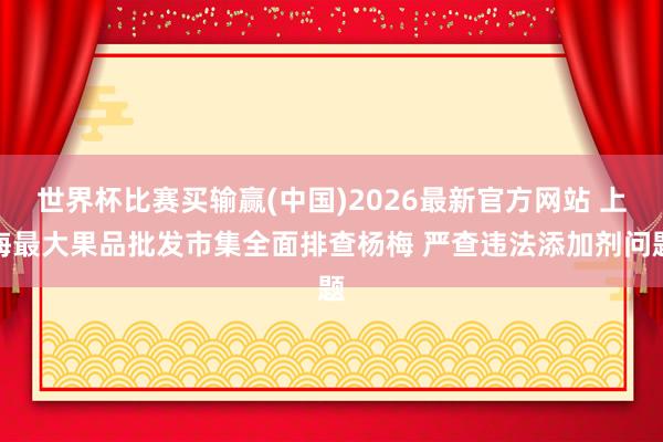 世界杯比赛买输赢(中国)2026最新官方网站 上海最大果品批发市集全面排查杨梅 严查违法添加剂问题