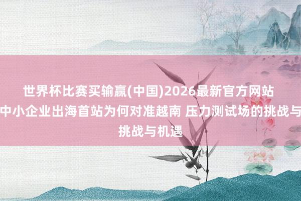 世界杯比赛买输赢(中国)2026最新官方网站 中国中小企业出海首站为何对准越南 压力测试场的挑战与机遇