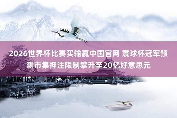 2026世界杯比赛买输赢中国官网 寰球杯冠军预测市集押注限制攀升至20亿好意思元