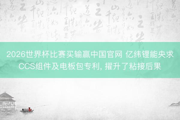2026世界杯比赛买输赢中国官网 亿纬锂能央求CCS组件及电板包专利, 擢升了粘接后果