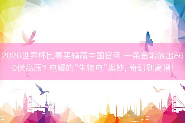 2026世界杯比赛买输赢中国官网 一条鱼能放出860伏高压? 电鳗的“生物电”奥妙, 奇幻到离谱!