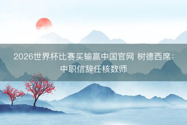 2026世界杯比赛买输赢中国官网 树德西席：中职信辞任核数师