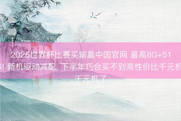 2026世界杯比赛买输赢中国官网 最高8G+512G! 新机驱动减配, 下半年巧合买不到高性价比千元机了
